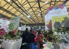 The booth of Kunming colorful seedlings.