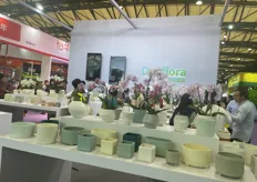 Display of various flower pots