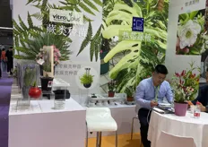 Chinese agent for various products in the Netherlands, including VitroPlus and Rijkland.