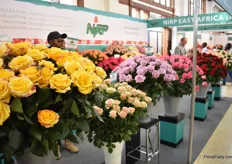 The varieties that were placed in the spotlight at NIRP were: (from left to right in the picture) Easy Fashion, Indigo, and Watergame.