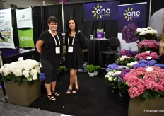 Jen Selwood and Stephanie Jardim of One Floral, a Canadian grower of Hydrangeas and more plants. According to them, longevity of their breeds are longer than other varieties in the market. Market for hydrangeas is good and it is one of their best sellers.
