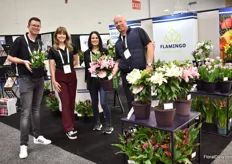 The team of Flamingo Holland presenting the Freesia Verona from the Nano series which is genetic short and the RoseLily Ezra which is pollen free with a nice perfume.