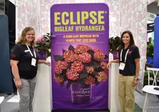 Amanda Lawrence and Amanda Wagoner of Bailey Nurseries with First Editions Eclipse. A dark-leaf Moorhead with leaves that stay dark.