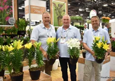 The team of 2Plant International presenting the genetically short LA hybrids, like Summer Sun and Summer Snow.