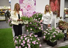 Angie VanWashenova and McKenna Merkel of Proven Winners with Verbena Superba Pink Cashmere. “A variety that looks good in landscape, in combinations, and on its one.”