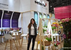 Daniela Navarro of Selecta Cut Flowers. They have a new assortment of gerberas and a new carnation filler inspire collection, named the Solandis Sweeties collection. They both are launched at Proflora.