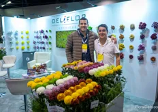 David Marin and JD Lecuona with Deliflor. On this show, the team highlights three categories: Ballhias, in the photo, Margriets, and the Fulfillers: Multibloom spray santini's