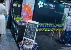 Life isn't perfect, but your plants can be! Harster greenhouses that is.