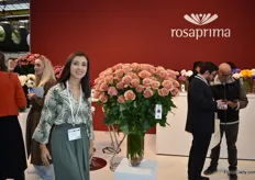 Katia Espinosa, revenue manager at Rosaprima next to RP Moab, one of their exclusive varieties that is increasing in demand, particularly during the wedding and fall season.