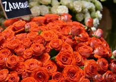 Zadigue is one of Sian Roses' exclusive varieties. 
