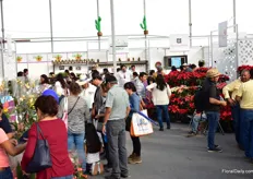For the first time, a floricultural pavillion at the Expo Agroalimentaria. At this pavilion, over 20 flower and ornamental plant growers, breeders and floral suppliers were presenting their products. The majority of the flowers and almost all plants are produced for national demand. And what are the most popular products? At first glance, the orchids, succulents and poinsettias are.