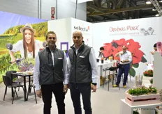 Claudio Cazzola and Paolo Pirisi of Selecta one. At their booth, two varieties took center stage, namely Purple Sun, a Fleuroselect winner and Christmas Mouse, a new poinsettia of which the flower leaves are like that of mouse ears. According to Pirisi, it is a product that is really appreciated by the final consumer.