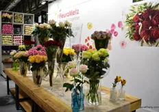 The varieties of De Ruiter (all of them grown by Ecuadorian rose grower Anniroses)at the booth of FleuraMetz. Together with FleuraMetz, De Ruiter will soon introduce a new concept with existing varieties.