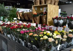 The pot roses of Danish breeder Roses Forever, presented at the Gasa booth.