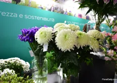 Some of the flowers at the Decorum booth.