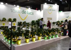 A lot of lemon trees at the booth of Vivai de Luca.