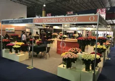 The booth of breeder Dümmen Orange.
