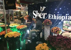 Ethiopian rose grower Sher Ethiopia