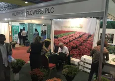 Hypericum grower Yalkoneh Flowers PLC, they grow these flowers on a 17 ha sized land, at an altitude of 2,100 meters in Ethiopia