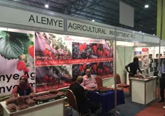 Alemye Agricultual Investment PLC