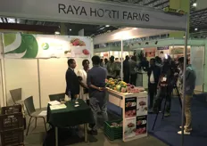 Ethiopain fruit and vegetable grower Raya Hortifarms 