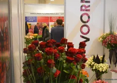 A more or less random peak-through will undoubtedly have you see roses (most likely), or otherwise tulips or chrysantemum. Together, it must be over 90% of all flowers sold on the market. Here we see a fase of flowers from Dutch rosegrower Voorn Roses, making it very likely these are stems Grand Prix.