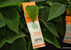 Swirski Ulti-Mite is a new type of sachet of Koppert that can withstand harsh conditions.