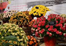 Sea of colors at the booth of Sian Roses.