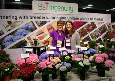 Joan Mazat and Kelsey Fletcher of Ball Ingenuity – for the first time with a booth - behind their new double flowering hydrangeas of Hydrangea Breeders Association. These are gift plants for indoor use and according to Mazat, the popularity of hydrangeas is increasing and everyone is therefore interested in something new. “It is a new level of what is currently popular. Most retailers want pink and blues, but with the double petal flowers, we take it to a higher heights.”