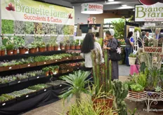 Succulents are a real hit. Also at Branette Farms, there is a large interest for their products.