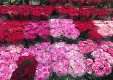 Roses from Russian grower Chekhovgarden. 
