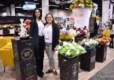 Dyanna Paz and Loreyna Molina of Gems Group. With a special paint, Gems can now supply 2 glow in the dark chrysanthemums; a blue and green one. Their goal is to have them in other colors and for other varieties as well. "Then, we can supply an entire glow in the dark bouquet", says Molina.