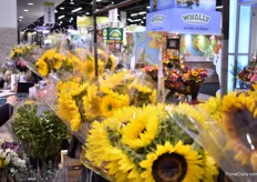 At Jolo Flowers, the journey started 20+ years ago, when this family business started to grow sunflowers in Florida. 