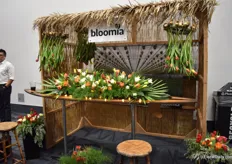 One of the sponsors; Bloomia.