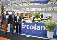 Lino Annunziata, Gianfranco Ercolano and Giovanni Alfano of ErcolanoFlora promoting their Italian grown products. Green Wick Dianthus, Panicum Fountain and Limonium Statice are flowers that are doing very well at the moment.