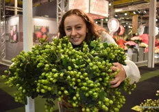 The new hypericum of Kolster has just be named: Magical Renata - named after this beautiful lady in the picture, the daughter of Adrian Moreno of Eternal Flower, who is also growing this green variety.