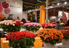 The roses create a colorful display at the booth of French rose breeder Meilland.