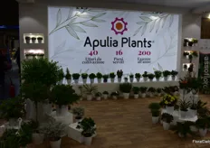 Lots of plants on display at Apulia Plants's stand.