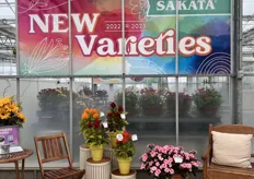 In the New Varieties booth of Sakata:- New Series: Primula Dania and Celosia Flamma- New Colors to existing series: please view our New Varieties brochure- There’s a full display photo as well as a close up of Dania and Flamma.