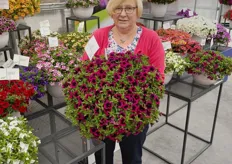 Westhoffs Calibrachoa breeder, Luise Kormann, posing with their new stand-alone variety 'Dracula'. 